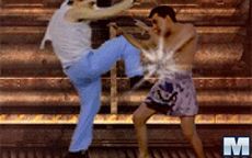 Fight Masters - Muay Thai