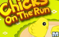 Chicks on the Run