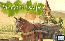 Vineyard Escape