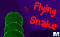 Flying Snake
