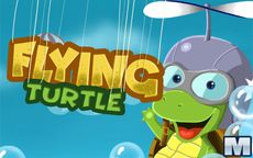 Flying Turtle