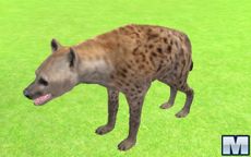 Hyena Simulator 3D