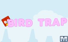 Bird Trap